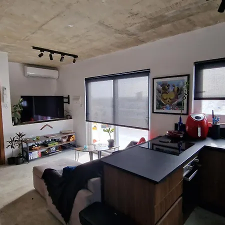 公寓 Duplex Penthouse With Seaviews *